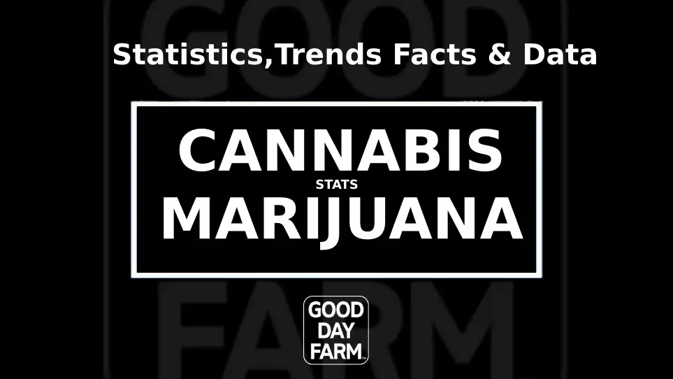 Cannabis Statistics 2024 Legal Marijuana Facts, Stats Trends