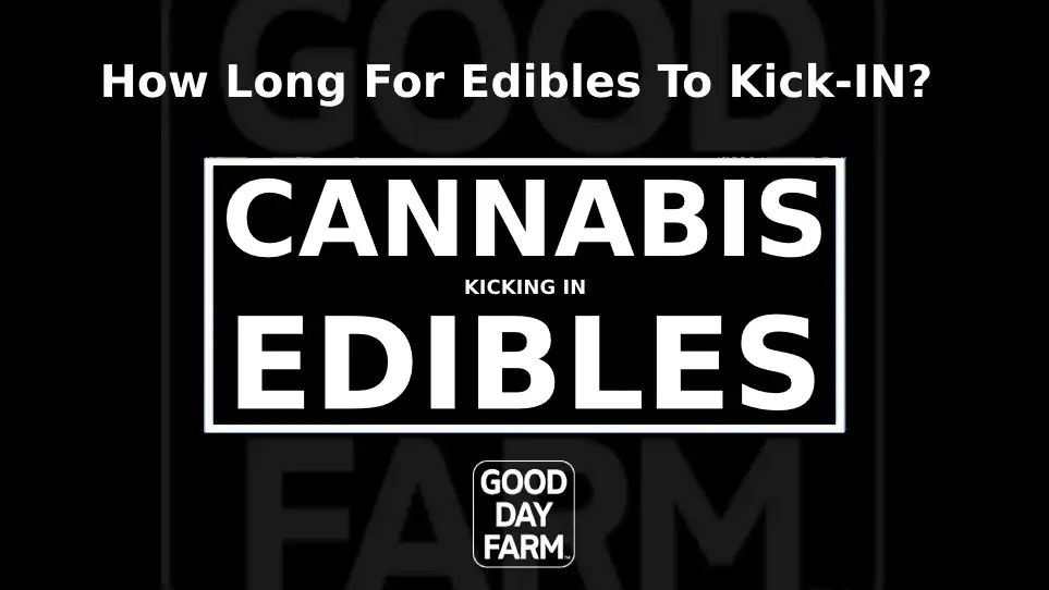 The Pros and Cons of Smoking and Eating Edibles