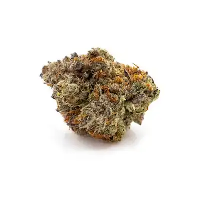a Hybrid nug